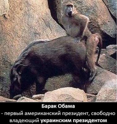 Прикрепленное изображение: Bx3-5uXCYAIkdPl.jpg